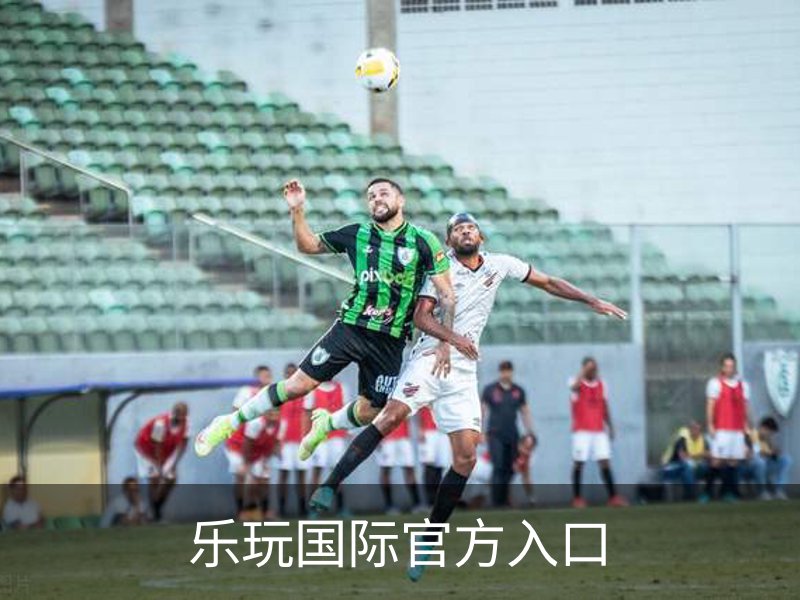 乐玩国际官方入口概况